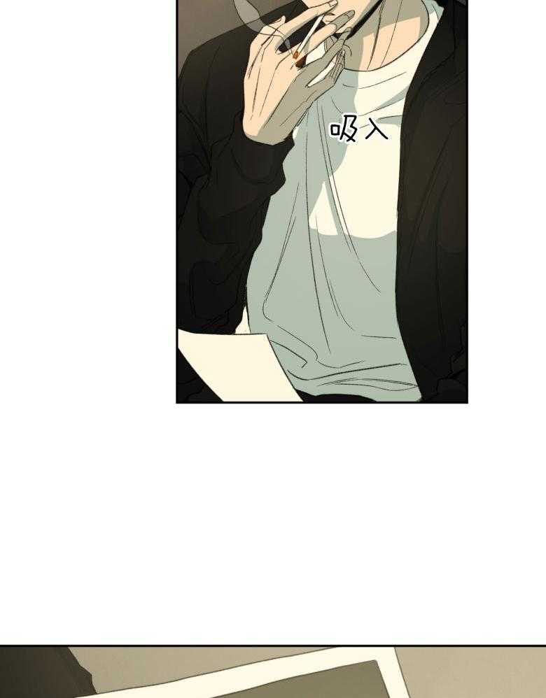 同情的形式（共3季） 第176话 第17页