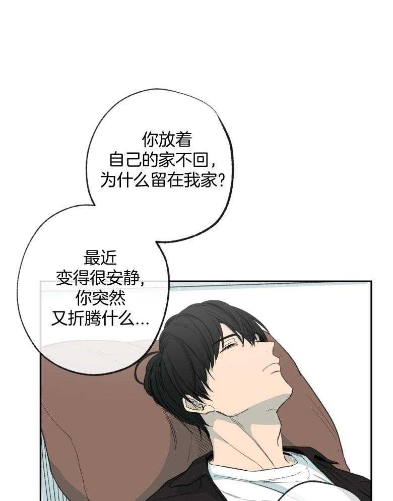 同情的形式（共3季） 第177话 第10页