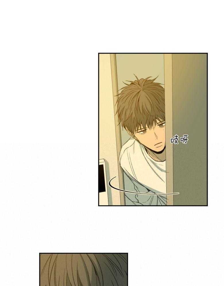 同情的形式（共3季） 第179话 第21页