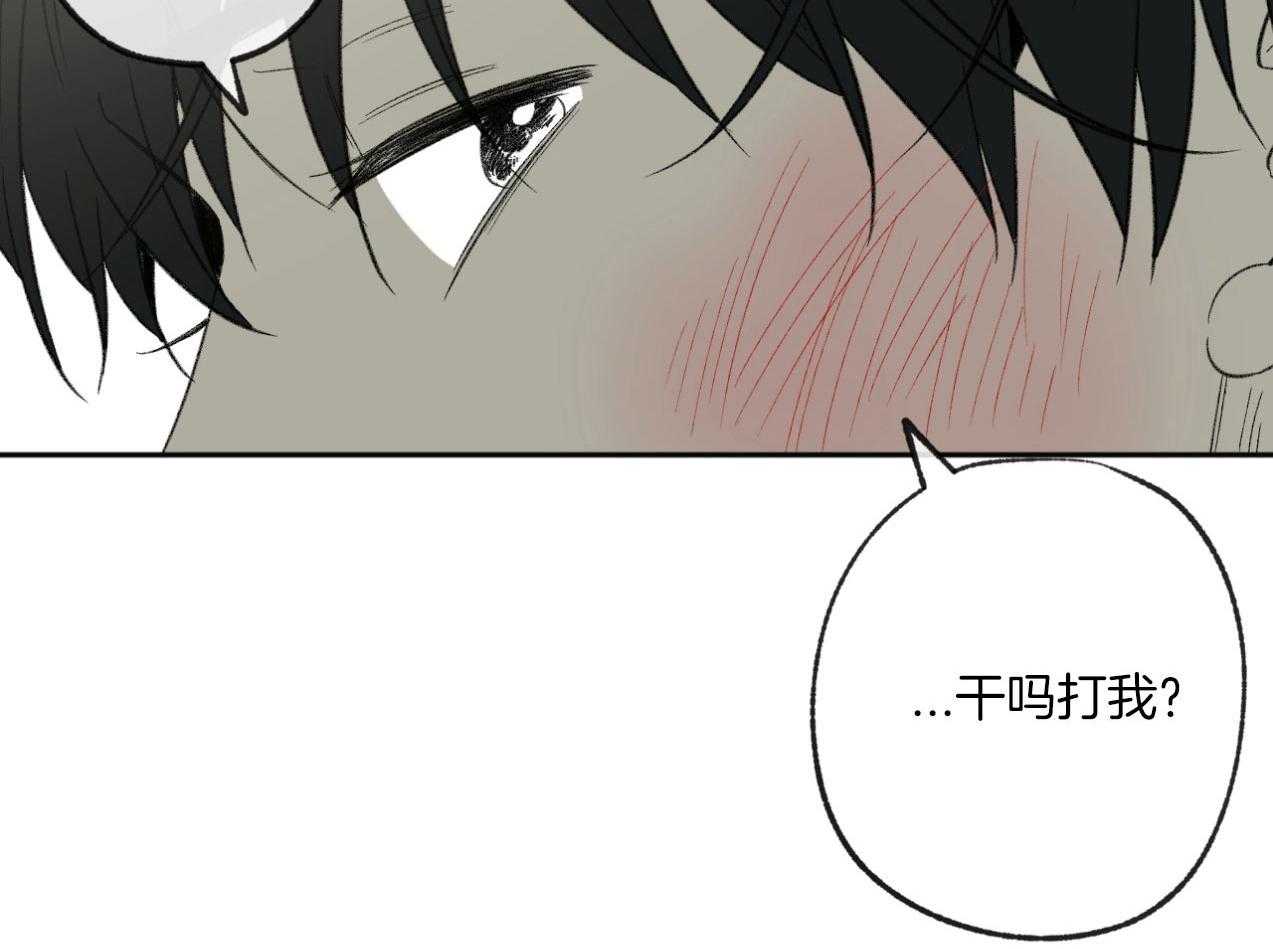 同情的形式（共3季）第183话图