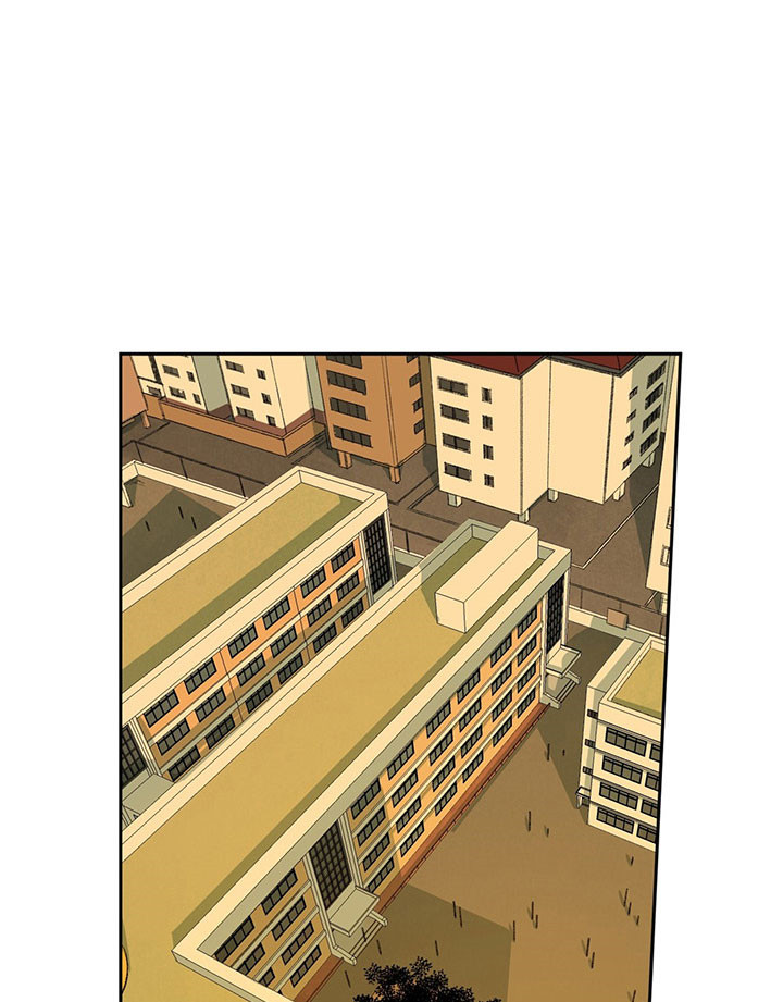 同情的形式（共3季） 第19话 第1页