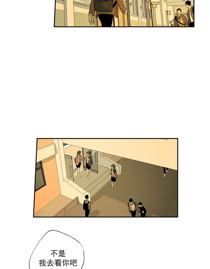 同情的形式（共3季） 第19话 第3页