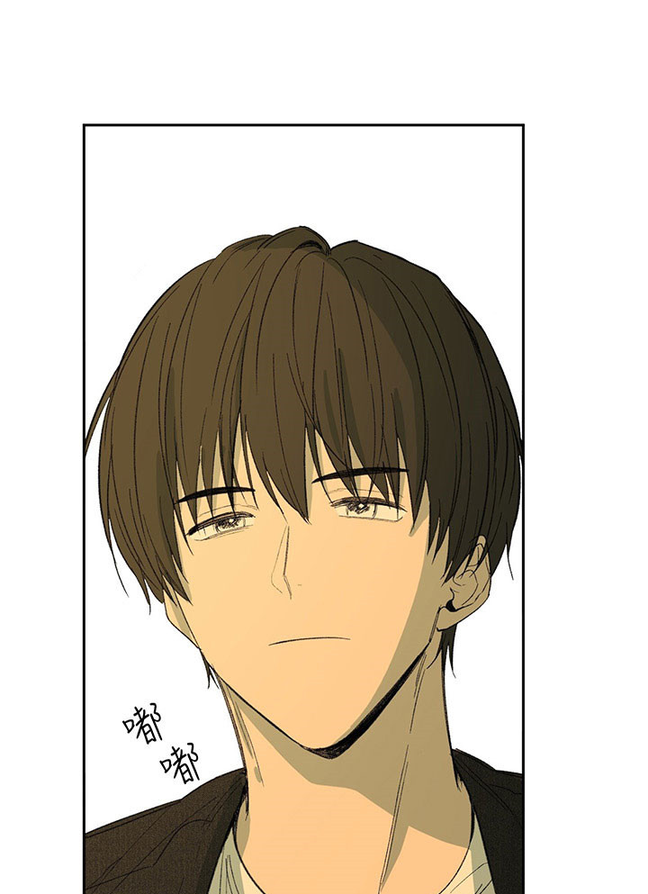 同情的形式（共3季） 第19话 第21页