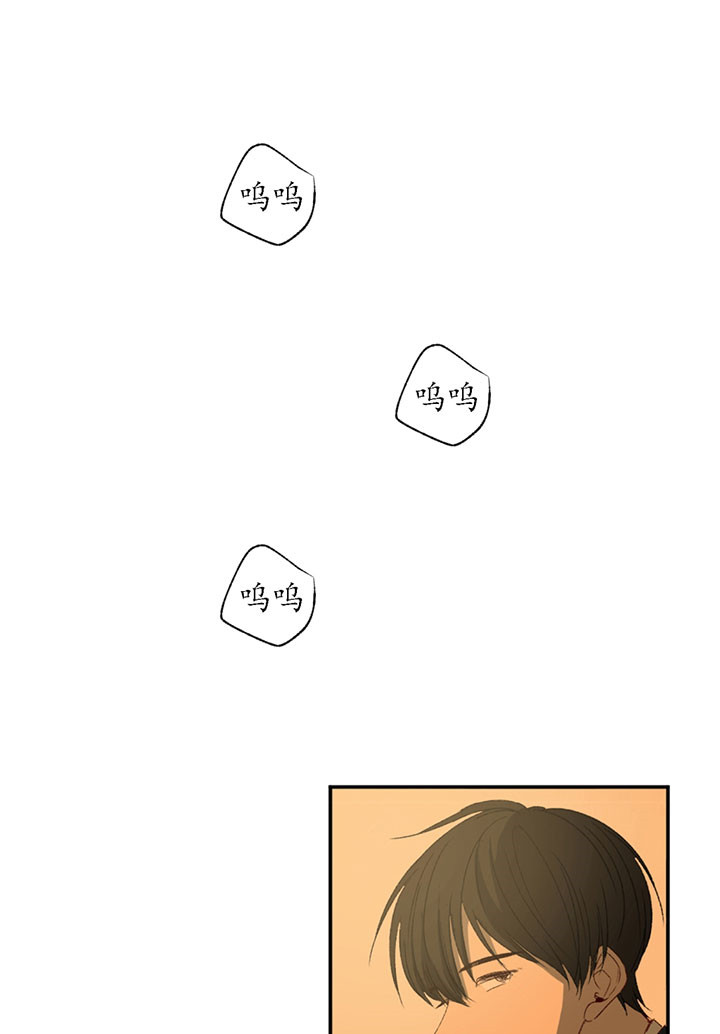 同情的形式（共3季） 第2话 第0页