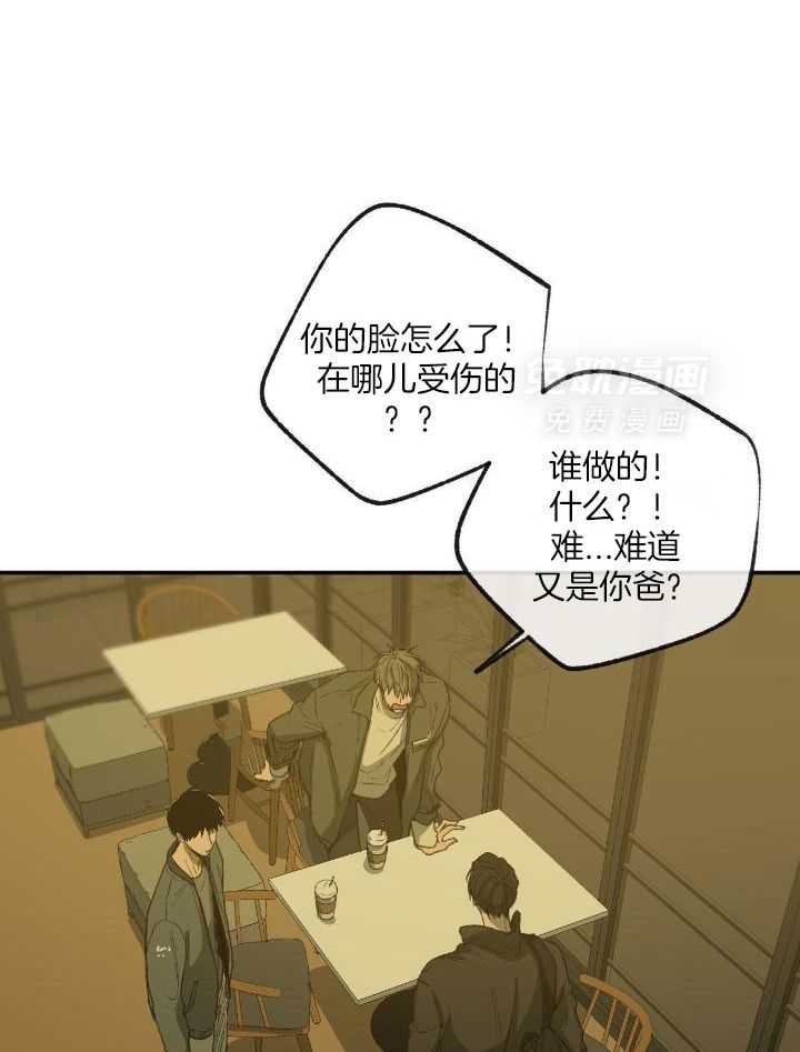 同情的形式（共3季）第204话图