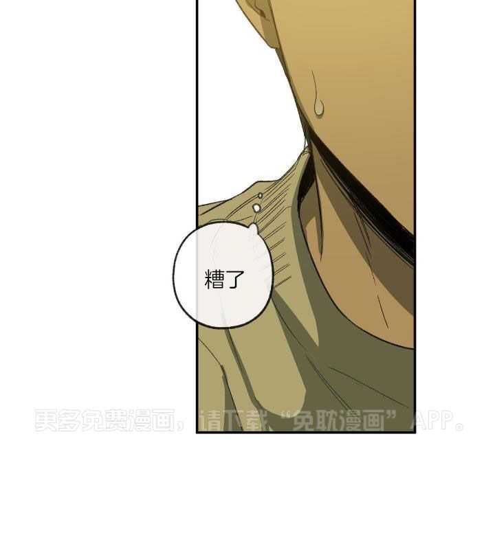 同情的形式（共3季）第205话图