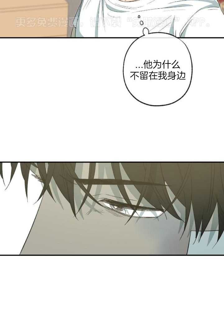同情的形式（共3季）第206话图