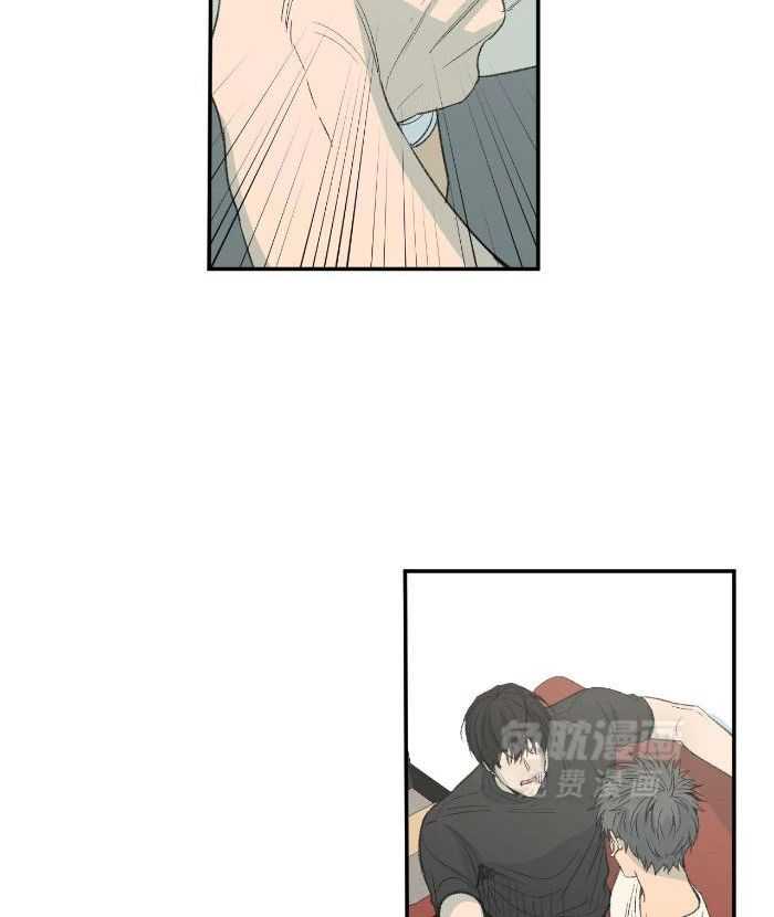 同情的形式（共3季）第212话图