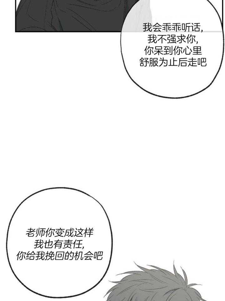 同情的形式（共3季）第212话图