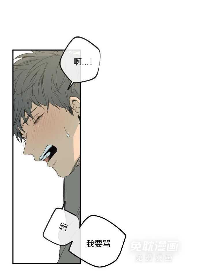 同情的形式（共3季）第219话图