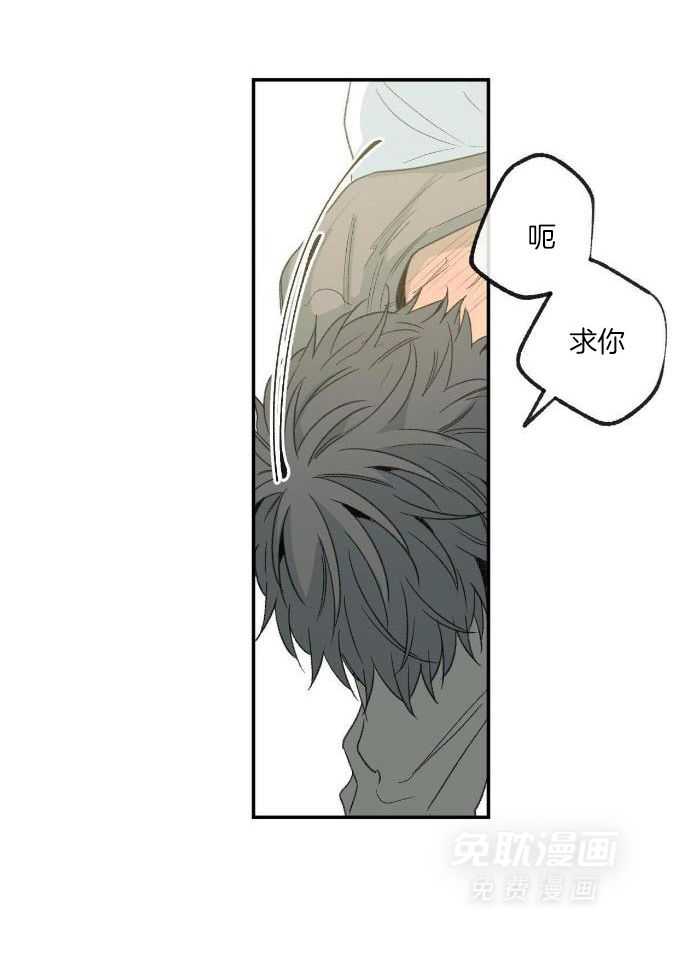 同情的形式（共3季）第219话图