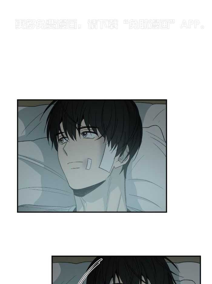 同情的形式（共3季）第222话图