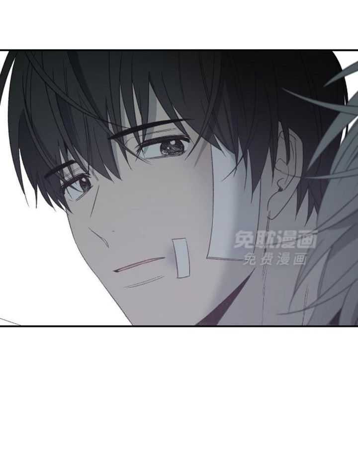 同情的形式（共3季） 第228话 第22页