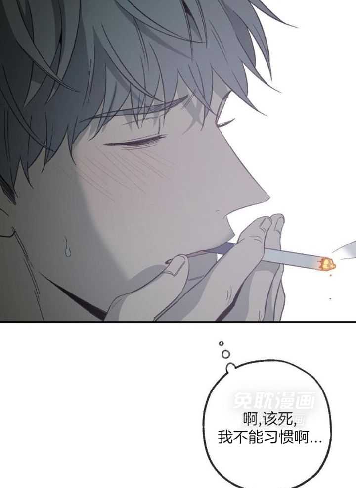 同情的形式（共3季） 第229话 第5页