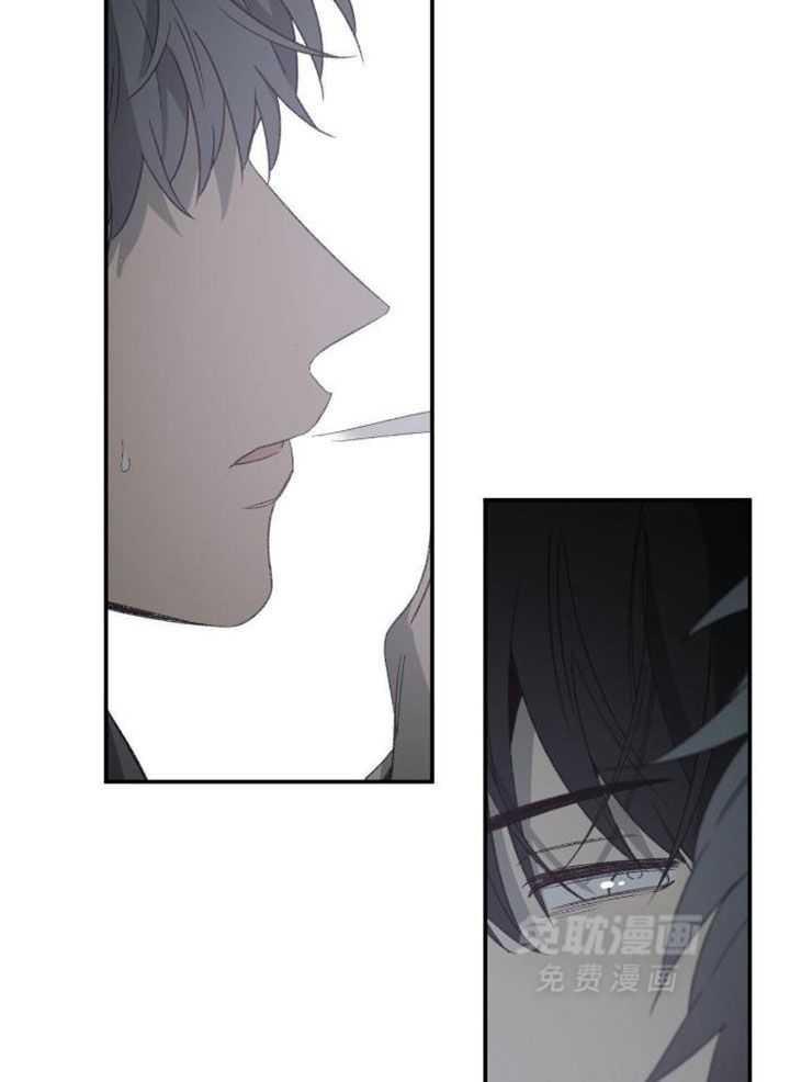 同情的形式（共3季） 第229话 第8页