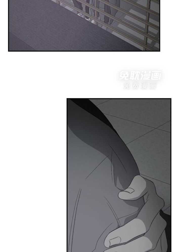 同情的形式（共3季） 第229话 第17页