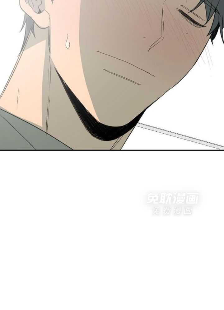 同情的形式（共3季） 第229话 第19页