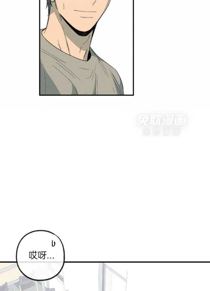 同情的形式（共3季） 第229话 第24页