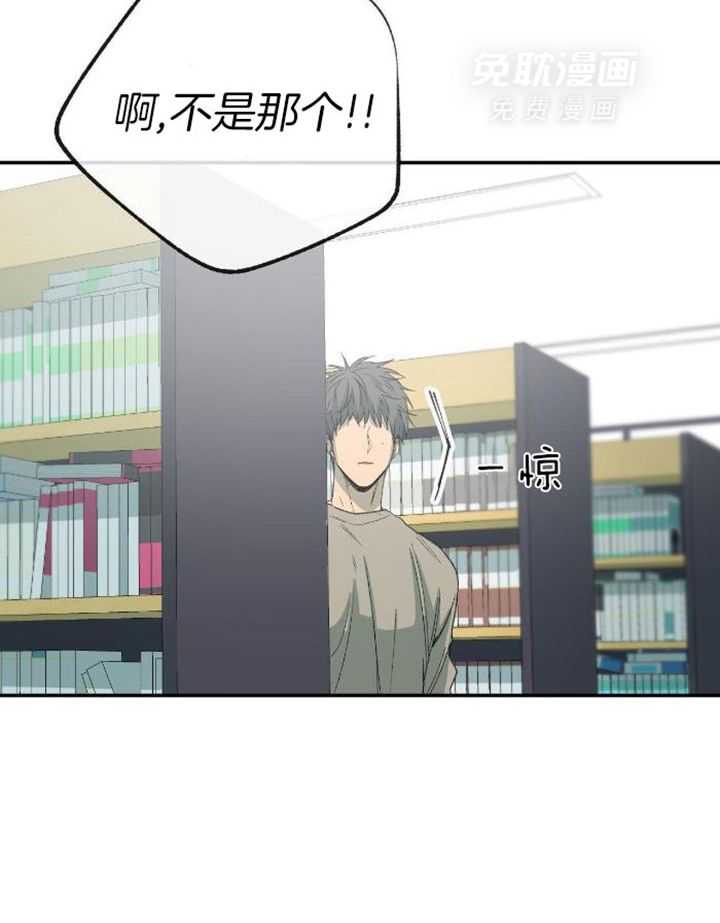 同情的形式（共3季） 第229话 第26页