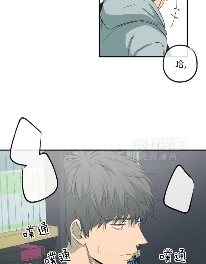 同情的形式（共3季） 第229话 第28页