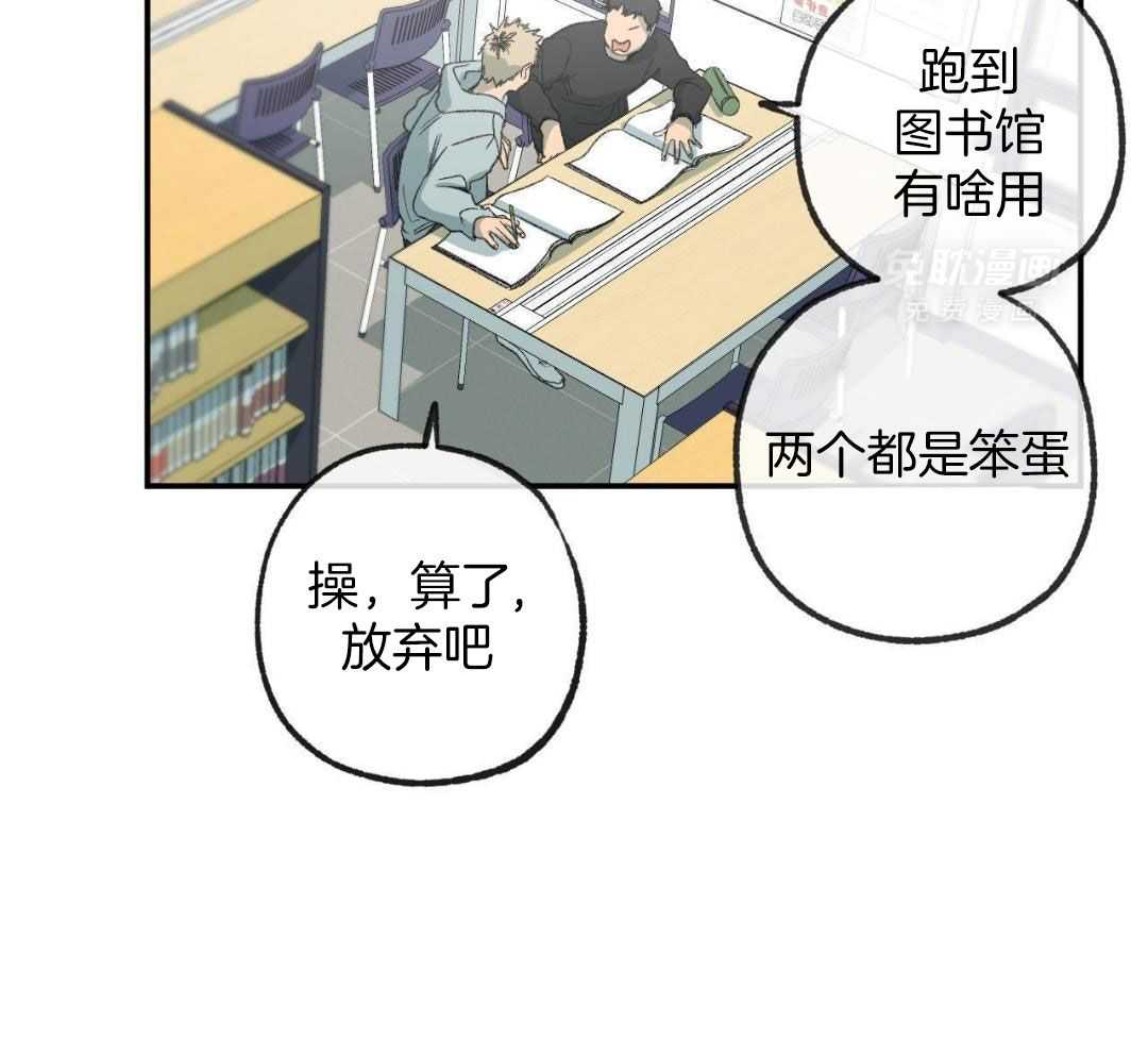 同情的形式（共3季） 第230话 第11页