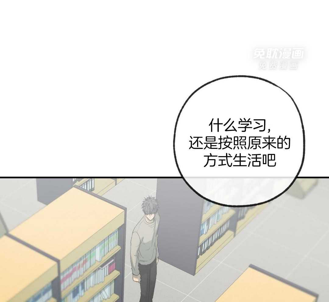 同情的形式（共3季） 第230话 第12页