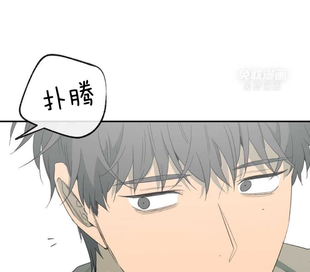 同情的形式（共3季） 第231话 第11页