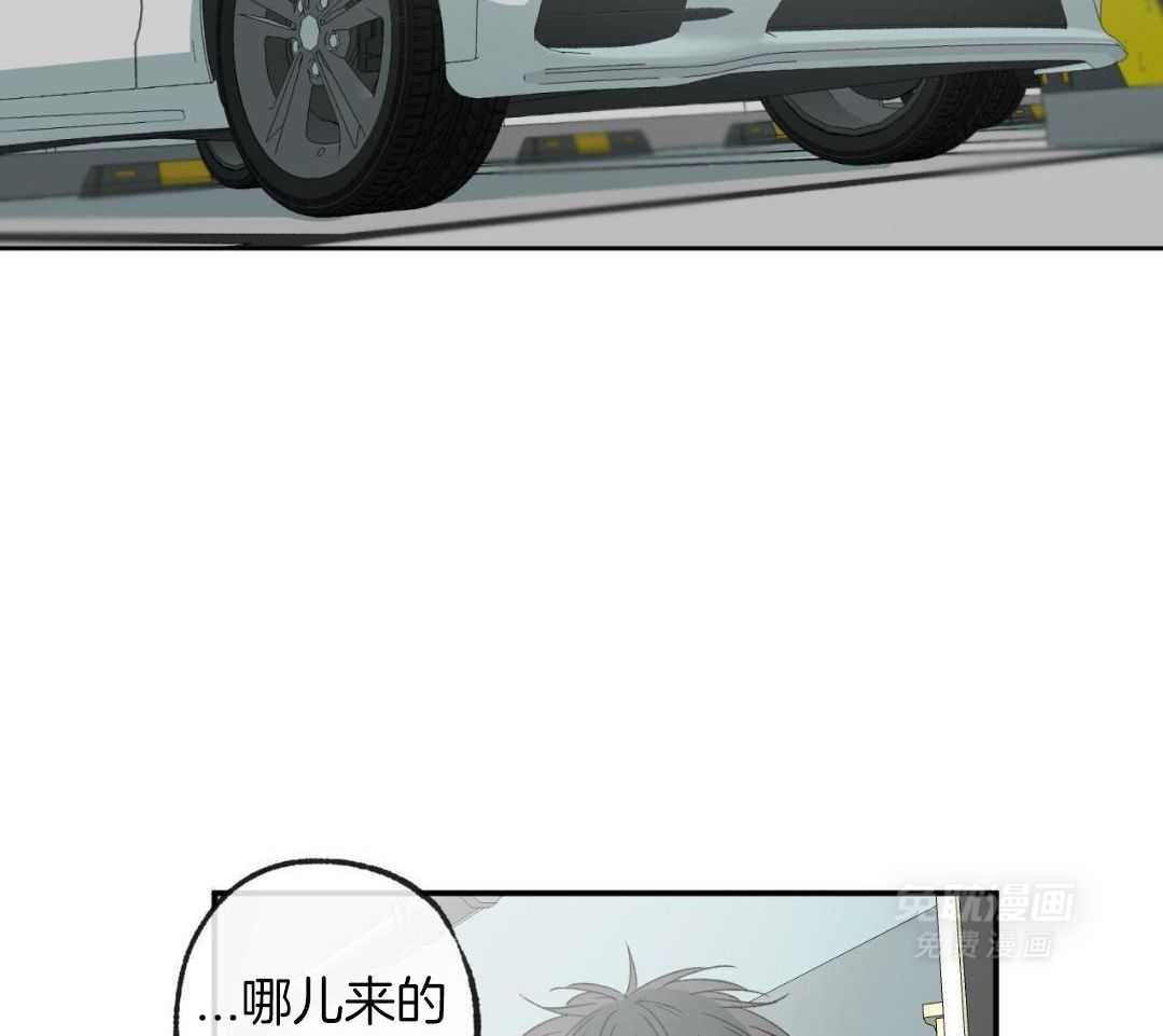 同情的形式（共3季） 第231话 第42页