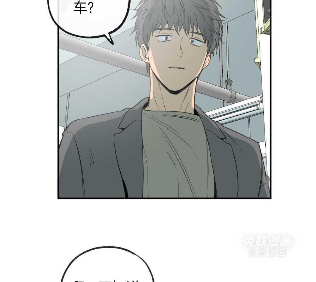 同情的形式（共3季） 第231话 第43页