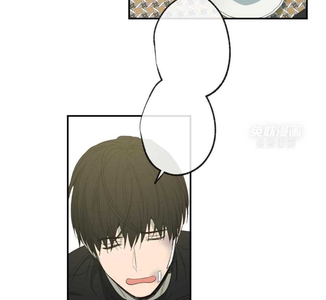 同情的形式（共3季） 第232话 第24页