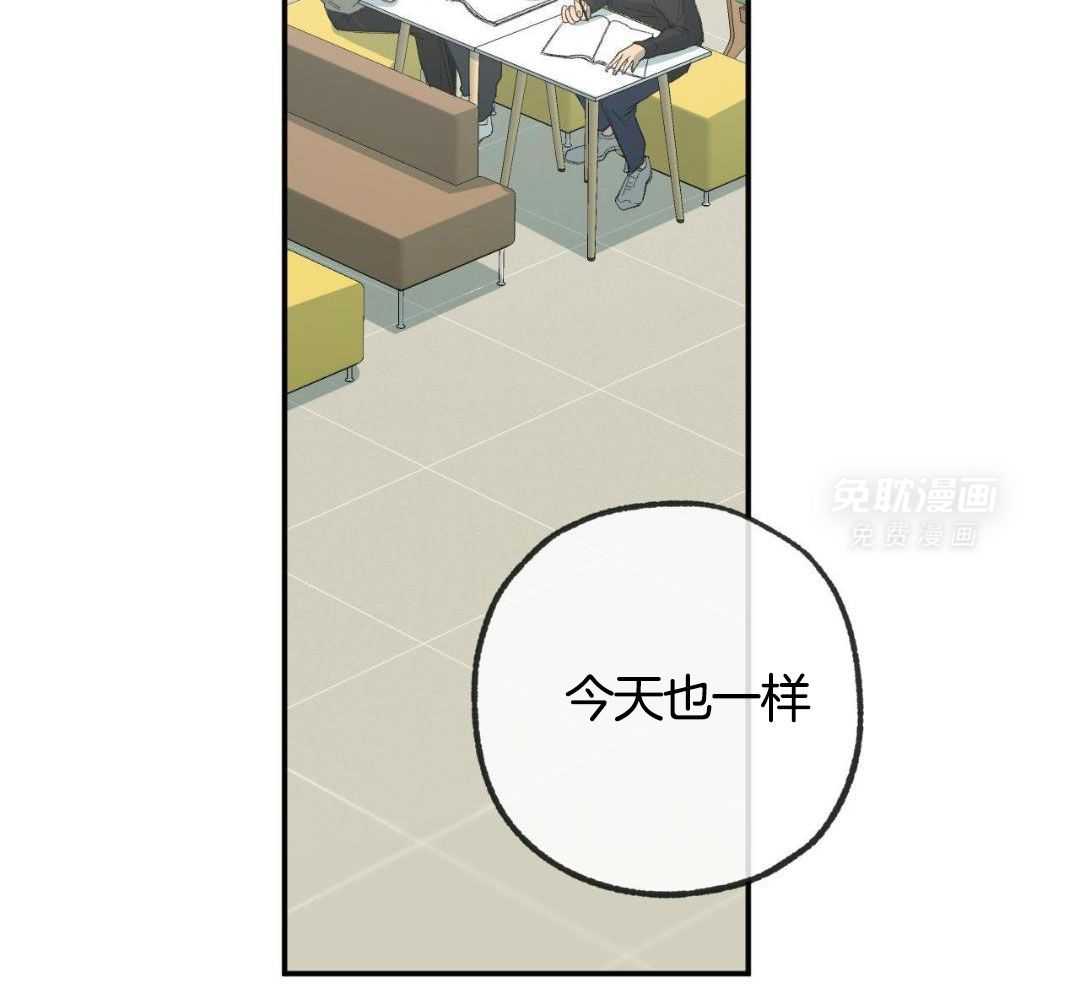 同情的形式（共3季） 第234话 第14页