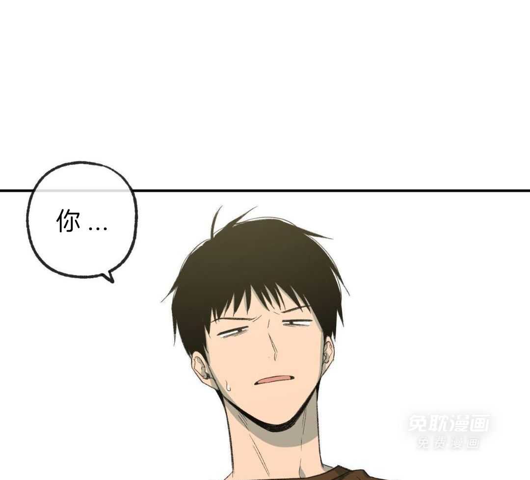 同情的形式（共3季） 第235话 第31页