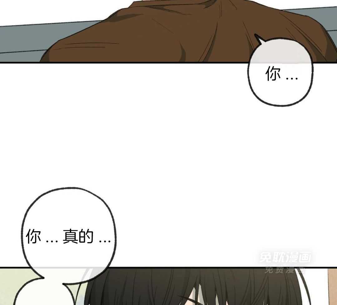 同情的形式（共3季） 第235话 第32页