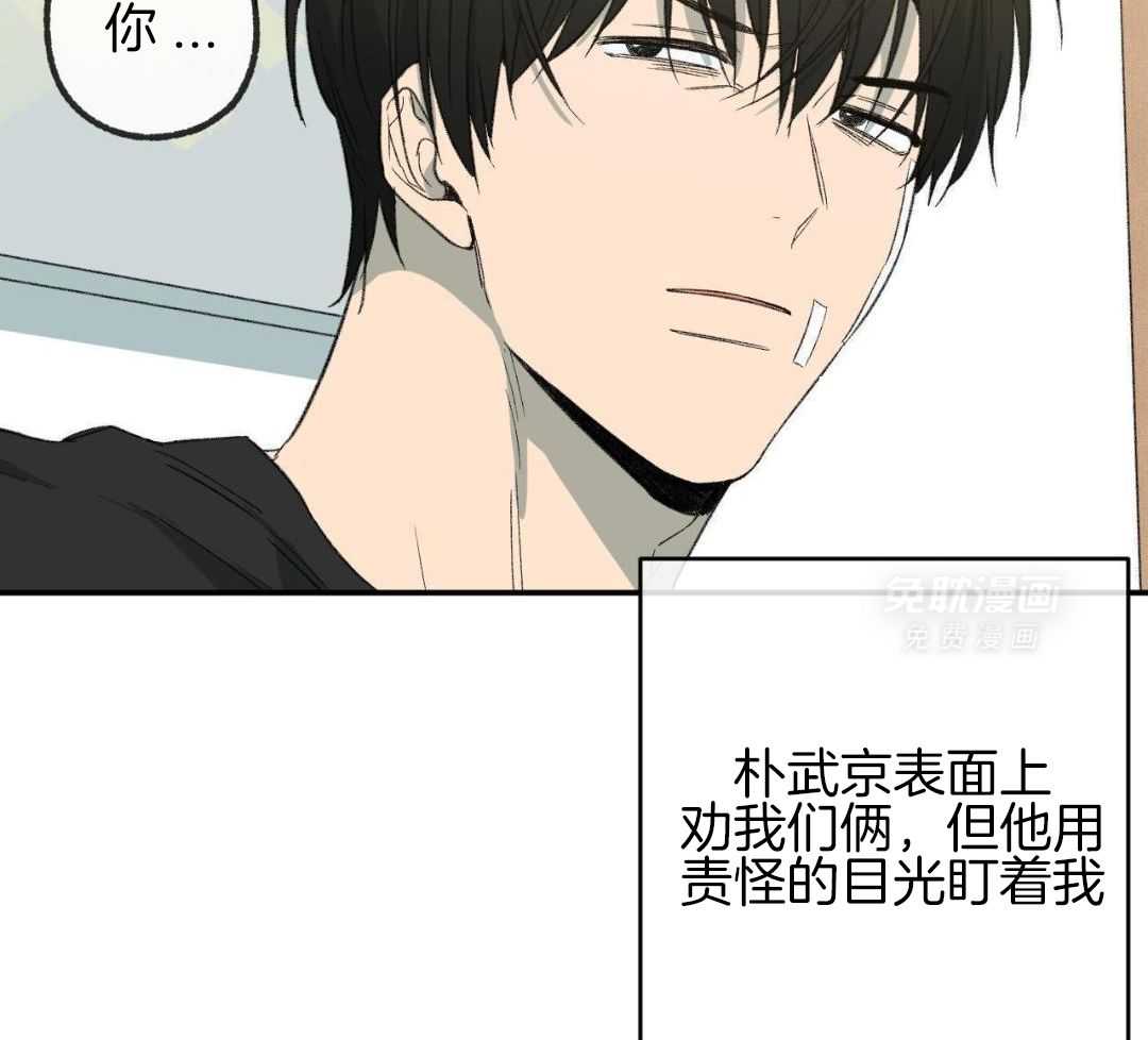 同情的形式（共3季） 第235话 第33页