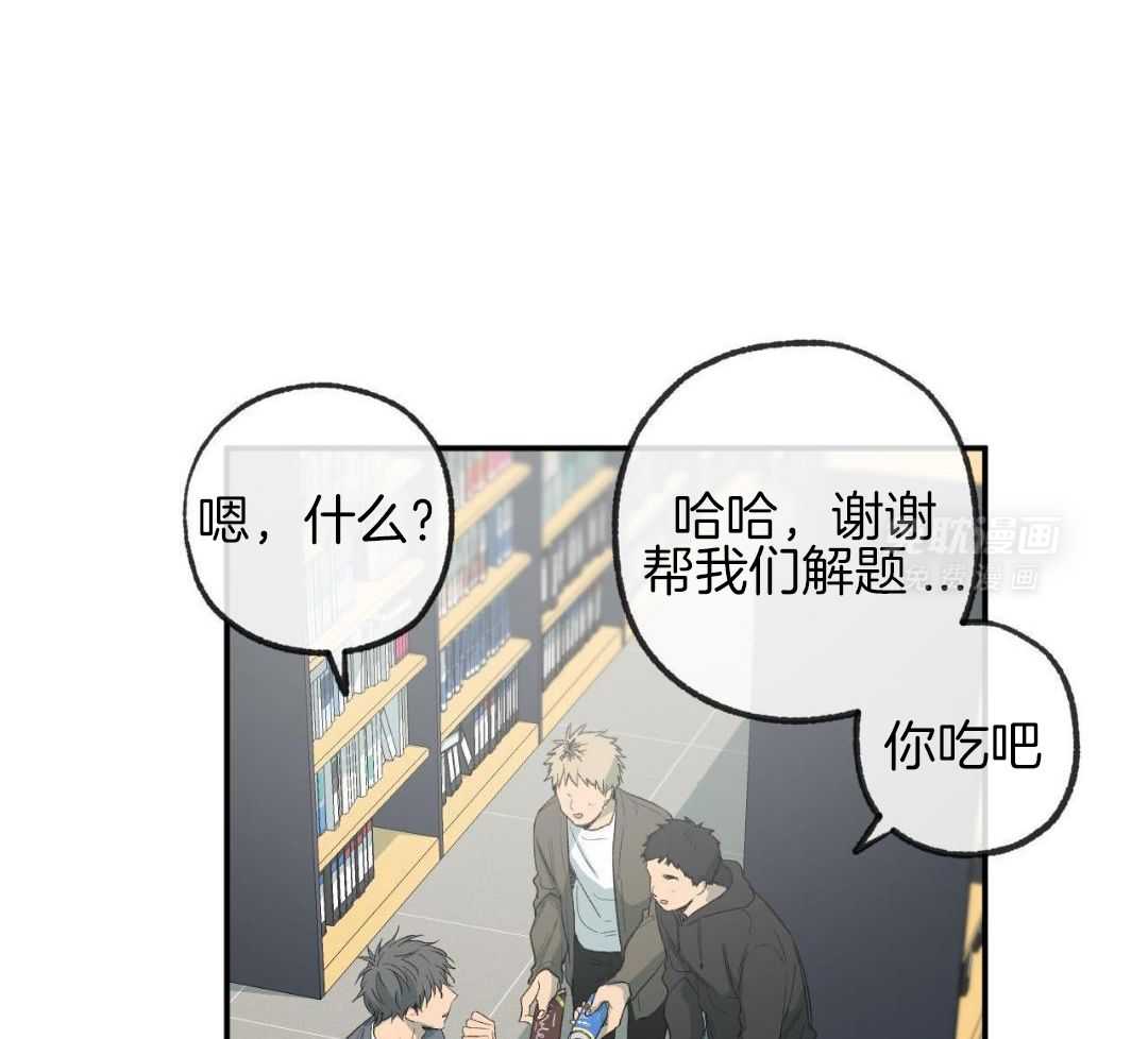 同情的形式（共3季） 第235话 第44页