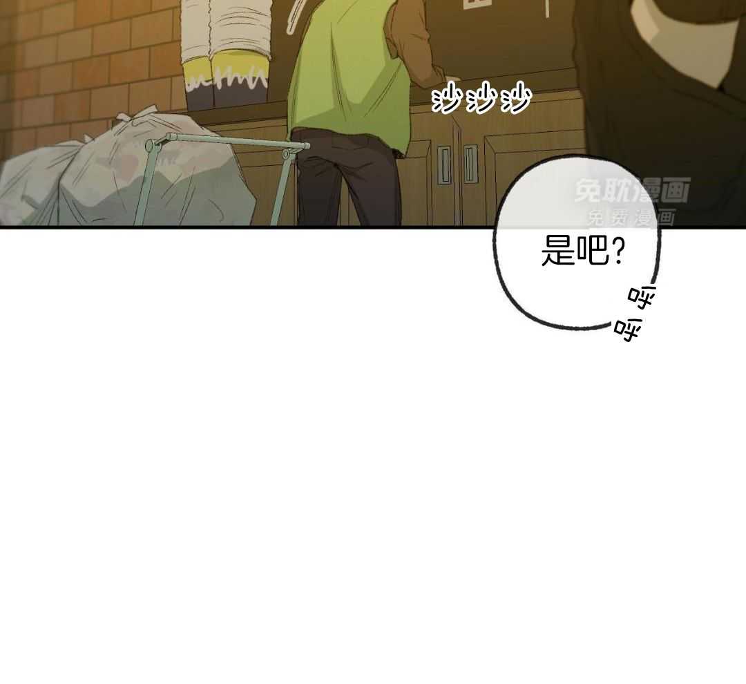 同情的形式（共3季） 第236话 第6页