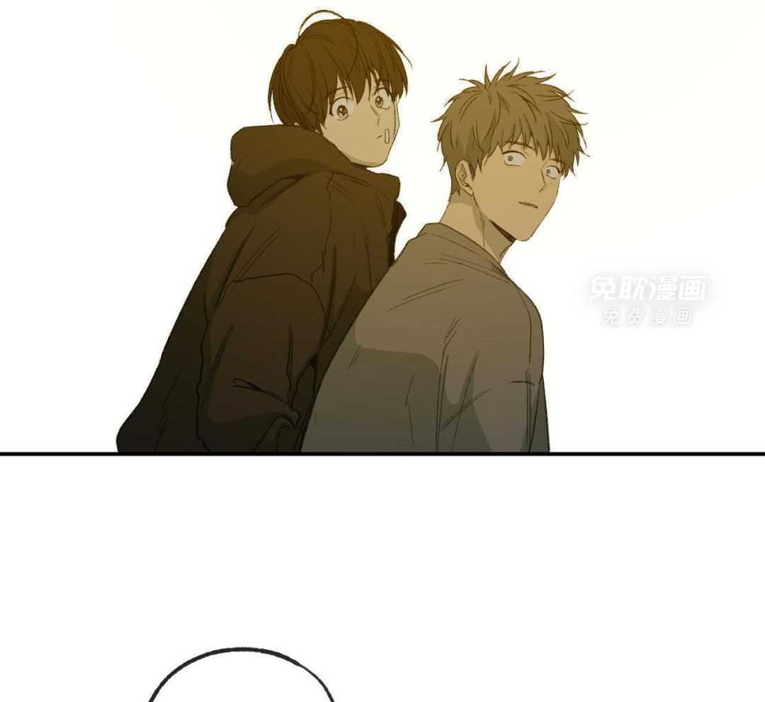 同情的形式（共3季） 第236话 第11页