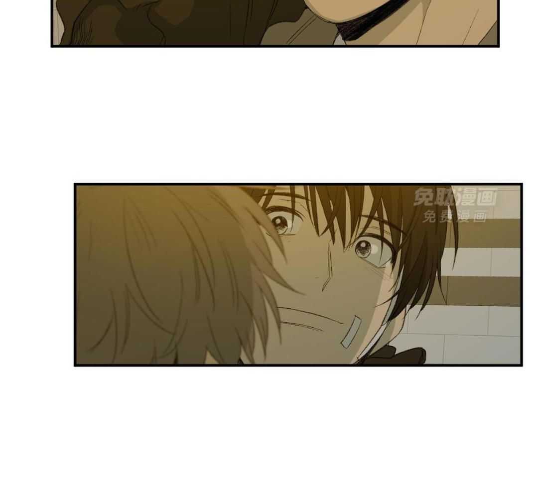 同情的形式（共3季） 第236话 第16页