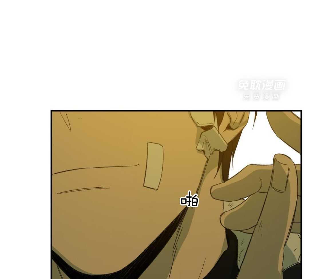 同情的形式（共3季） 第236话 第28页