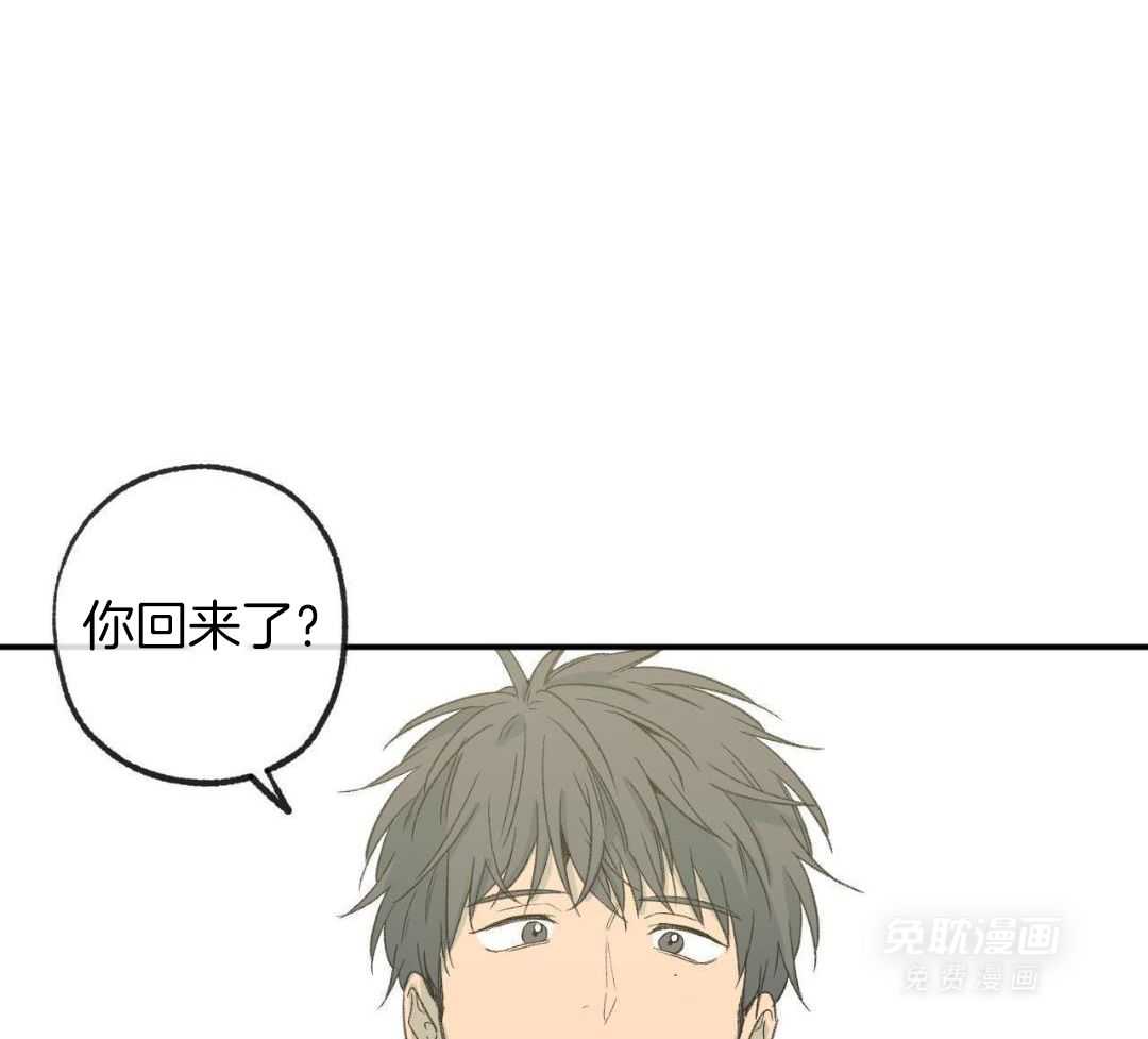 同情的形式（共3季） 第236话 第31页