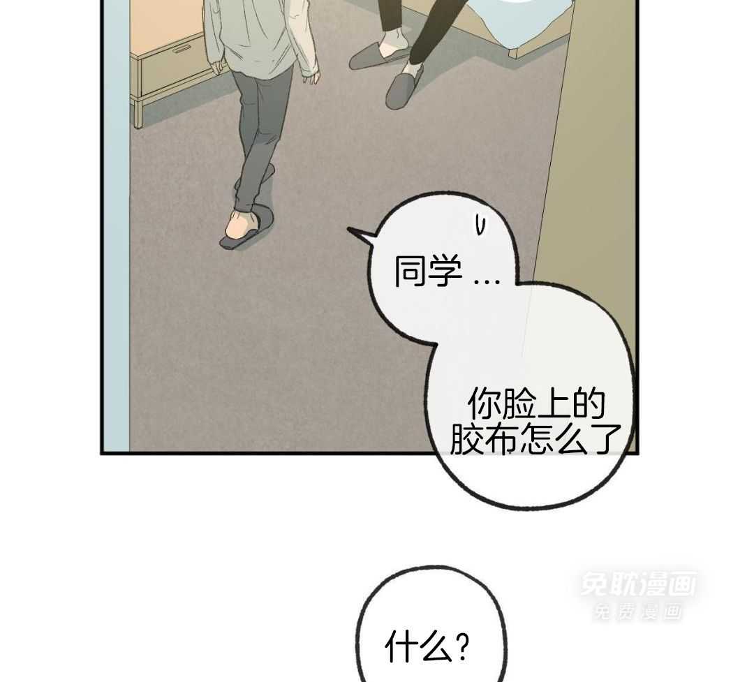 同情的形式（共3季） 第236话 第34页