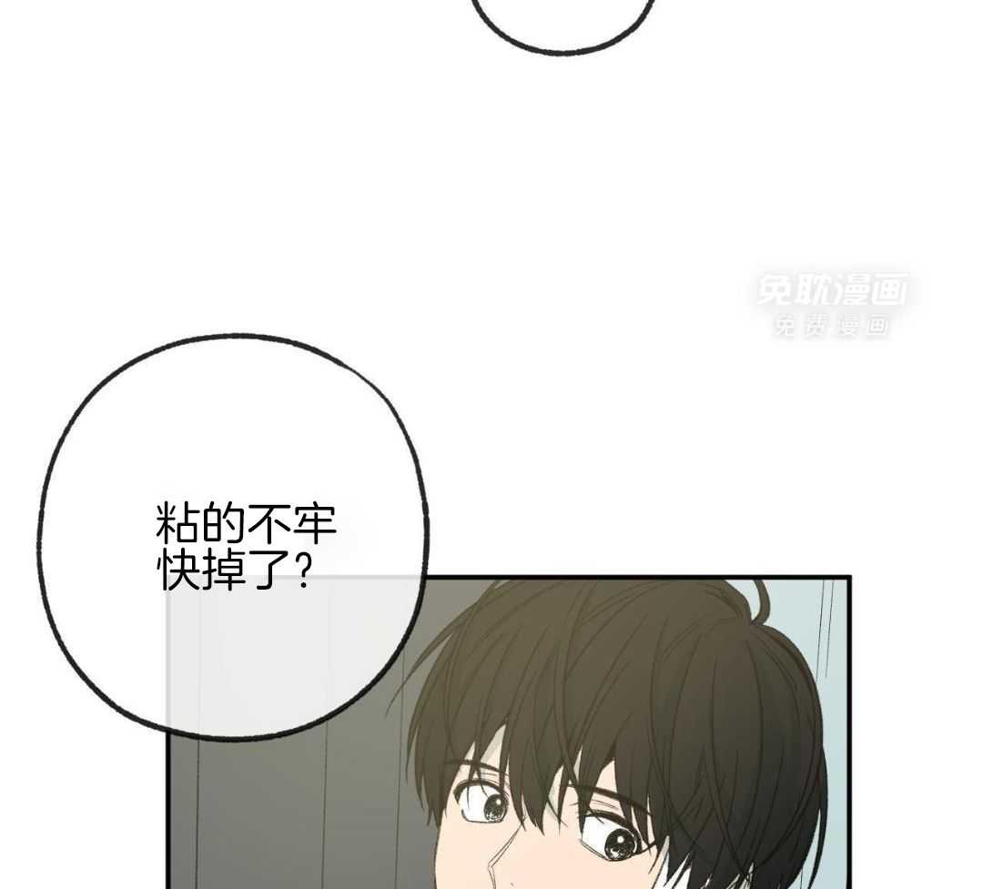 同情的形式（共3季） 第236话 第35页