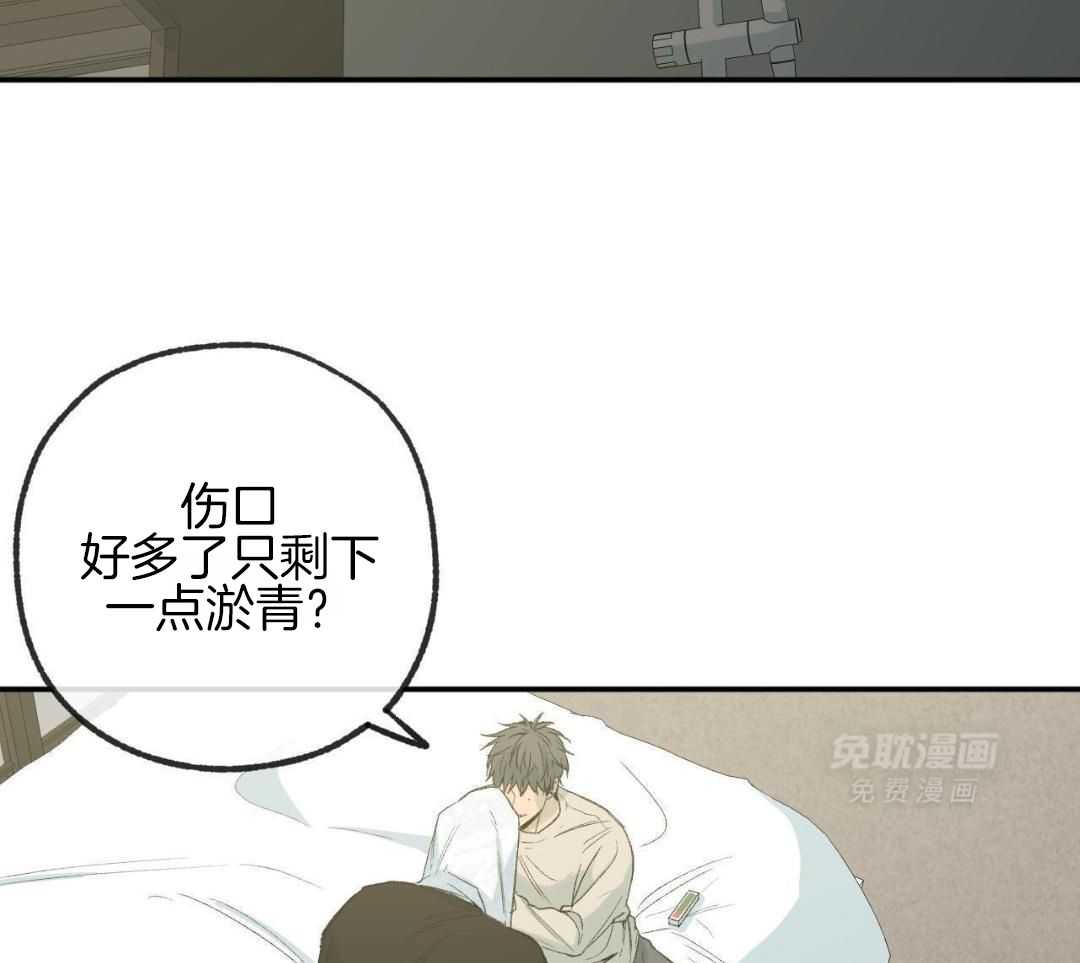 同情的形式（共3季） 第237话 第1页