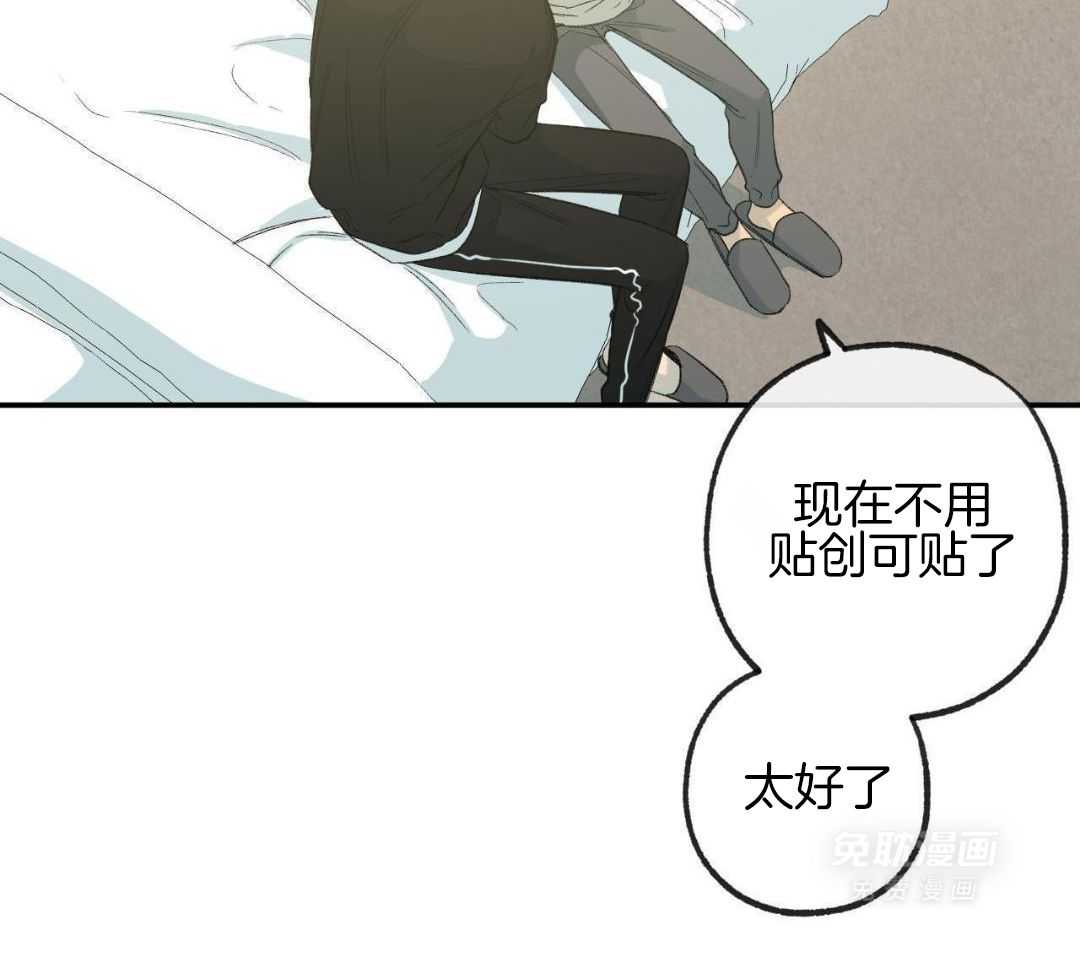 同情的形式（共3季） 第237话 第2页