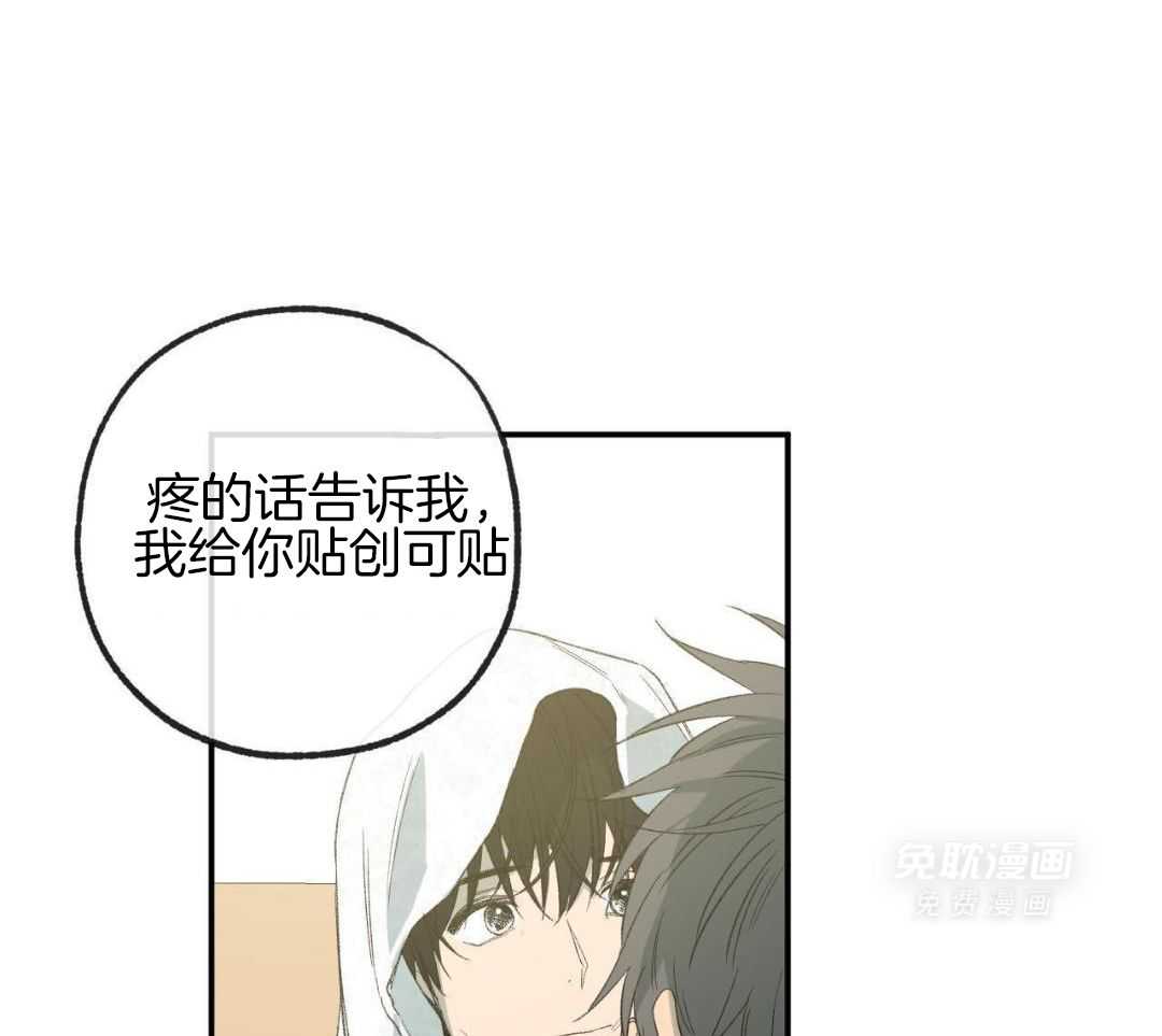 同情的形式（共3季） 第237话 第3页