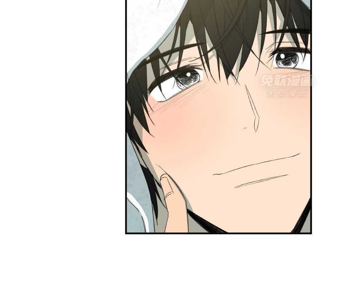 同情的形式（共3季） 第237话 第5页