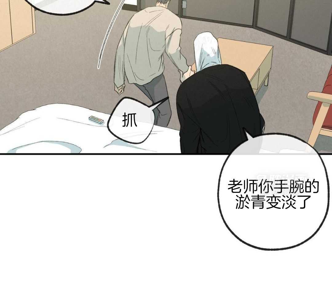 同情的形式（共3季） 第237话 第8页