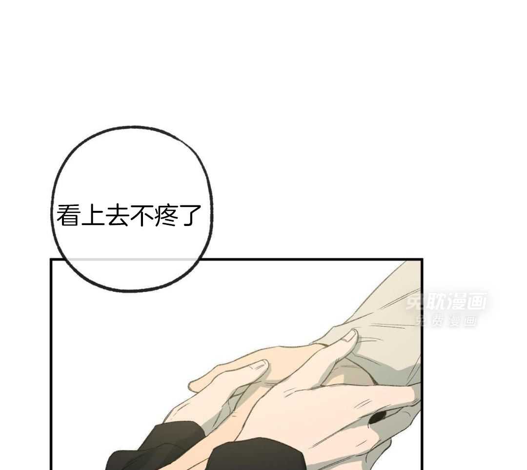 同情的形式（共3季） 第237话 第9页