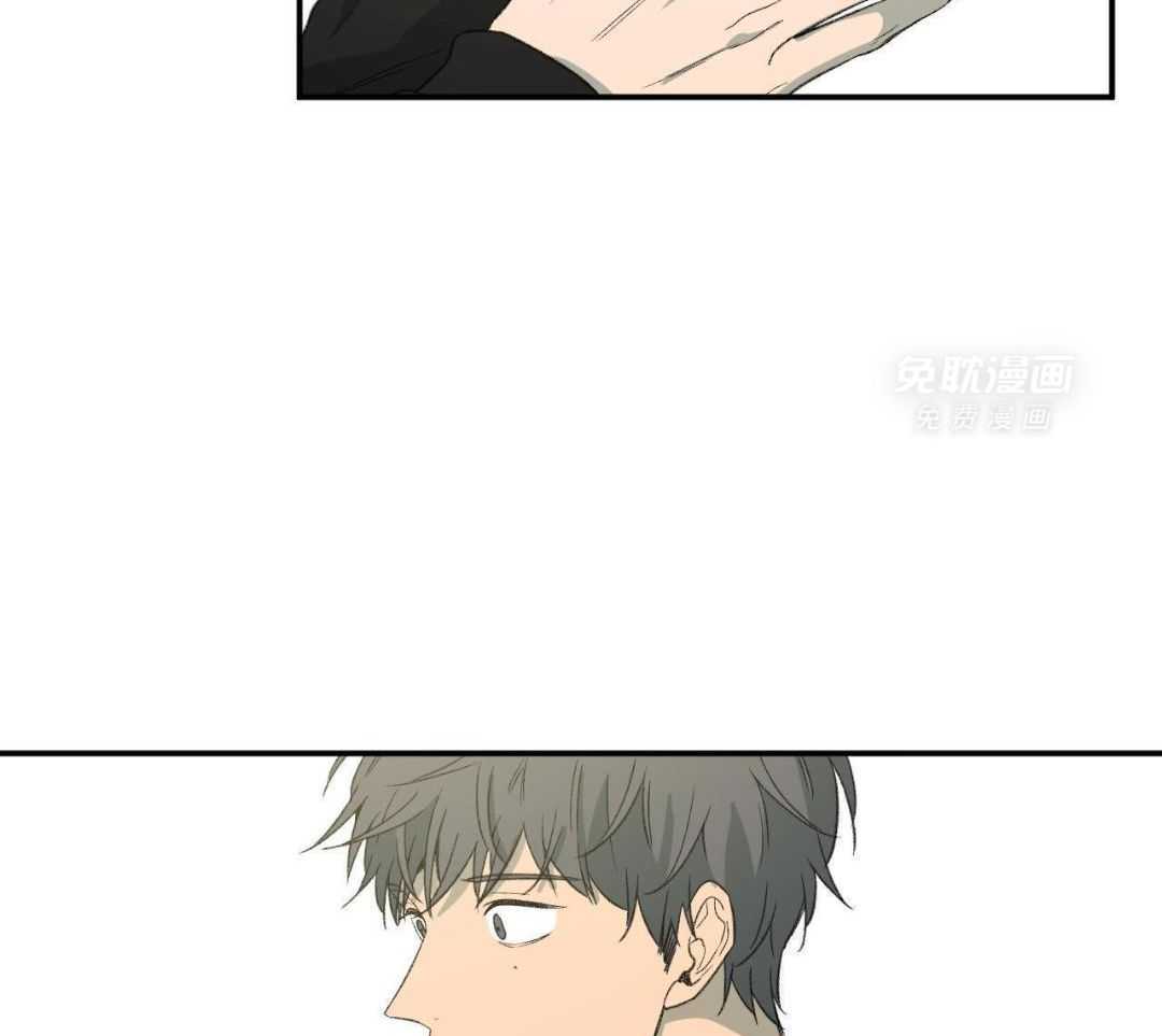 同情的形式（共3季） 第237话 第11页