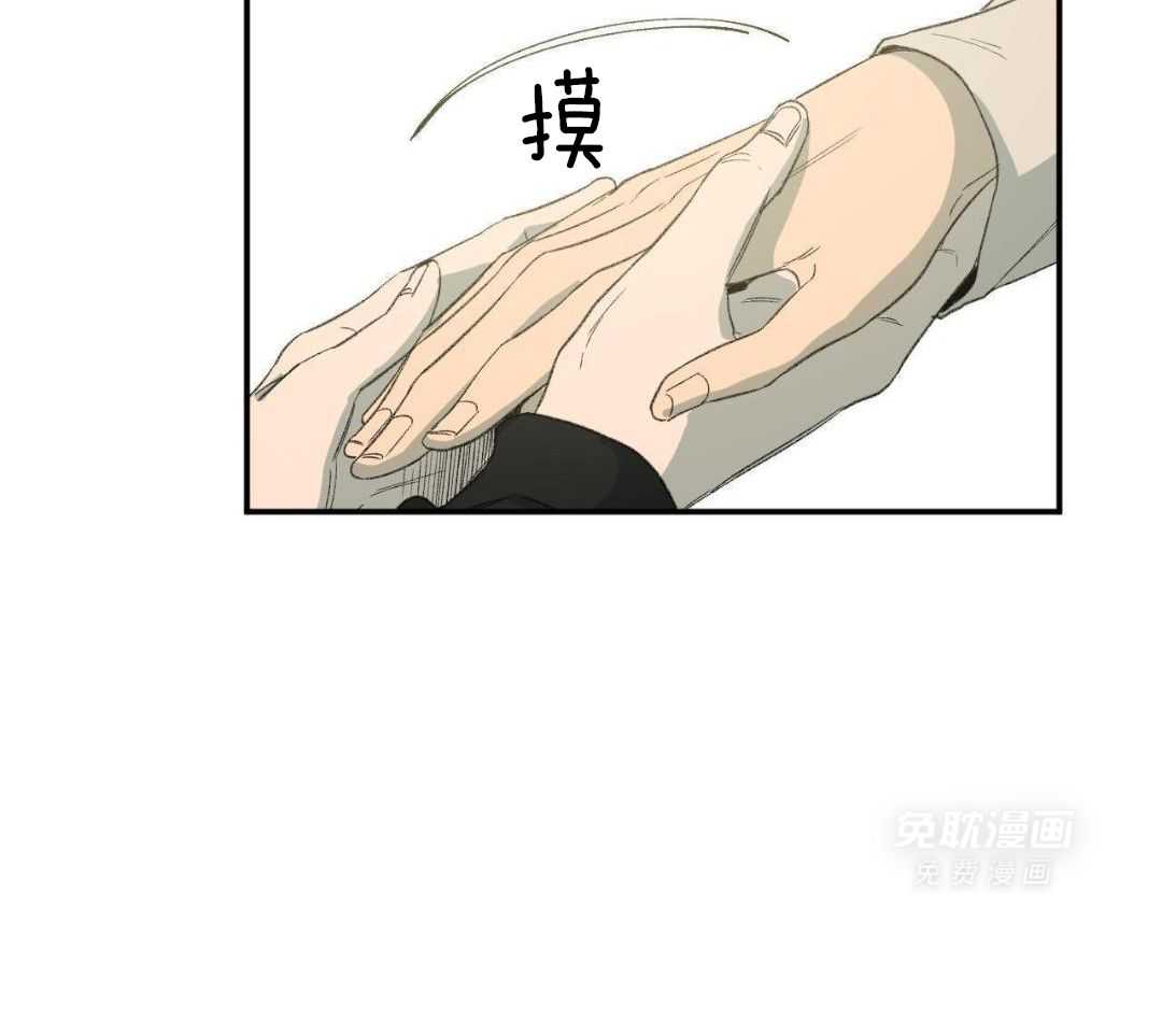 同情的形式（共3季） 第237话 第14页